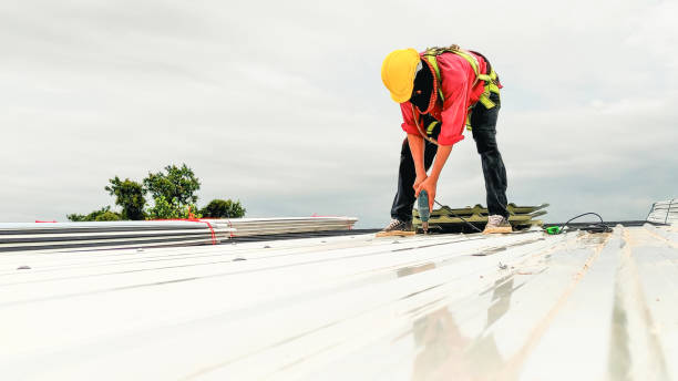 Best Skylight Installation and Repair  in Shenandoah Junction, WV